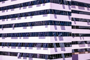 九游娱乐网址-体育新闻中心建设体育数字内容版权保护体系，体育数据新闻